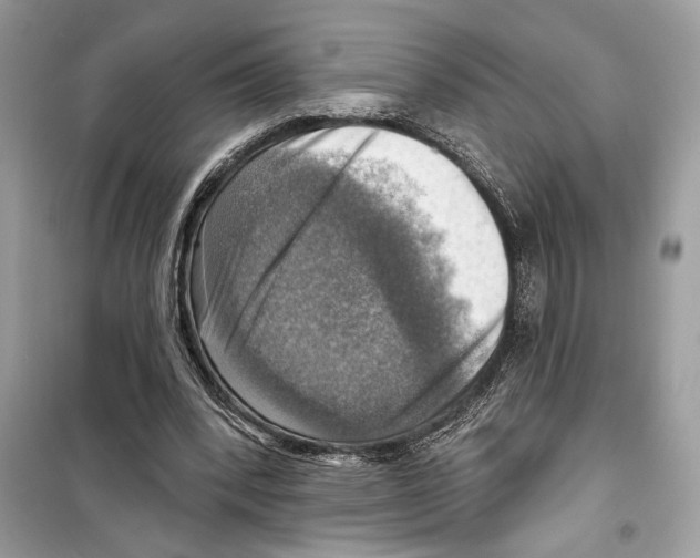 X0000098170392200805221520