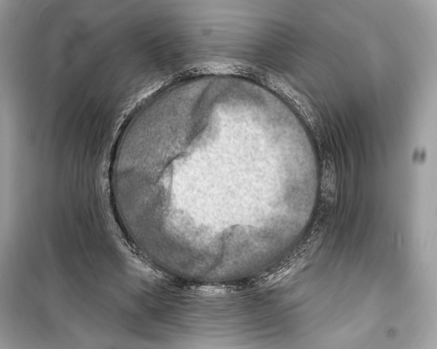 X0000098170394200805221519