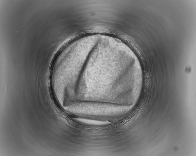 X0000098170395200805221519