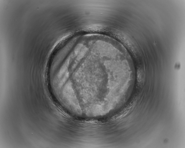 X0000098170396200805221519