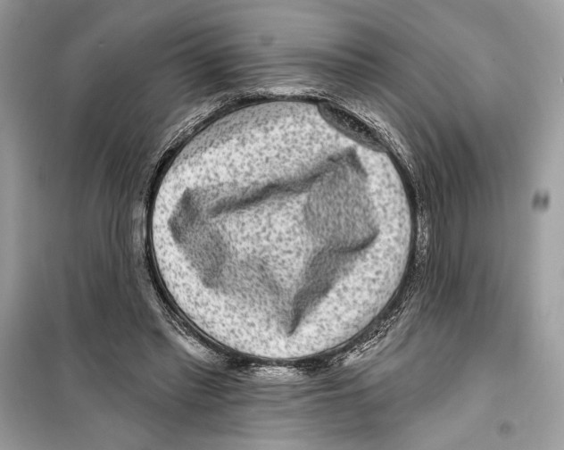 X0000098170397200805221519