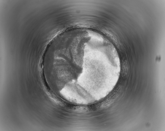 X0000098170398200805221519