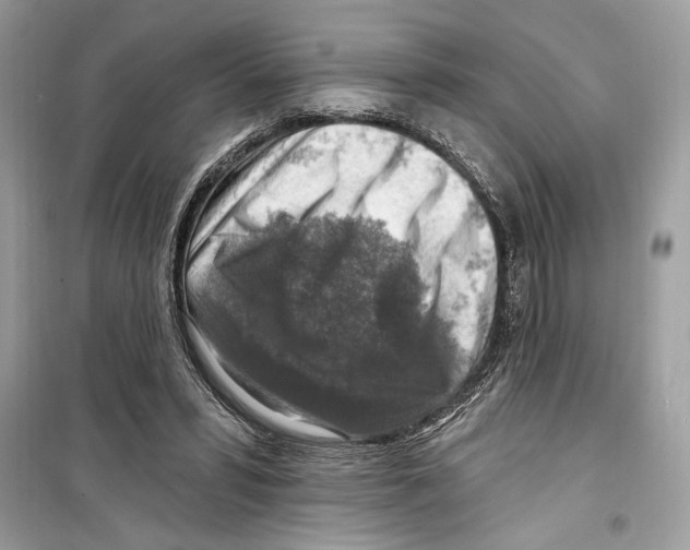 X0000098170399200805221519