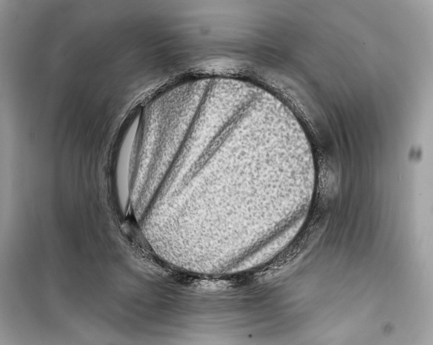 X0000098170403200805221519