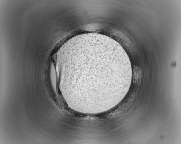 X0000098170404200805221519