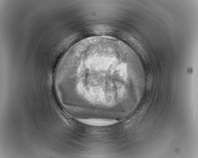 X0000098170405200805221519