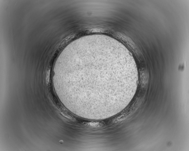 X0000098170406200805221519