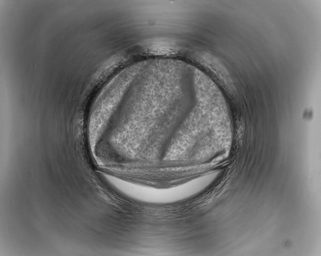 X0000098170407200805221519