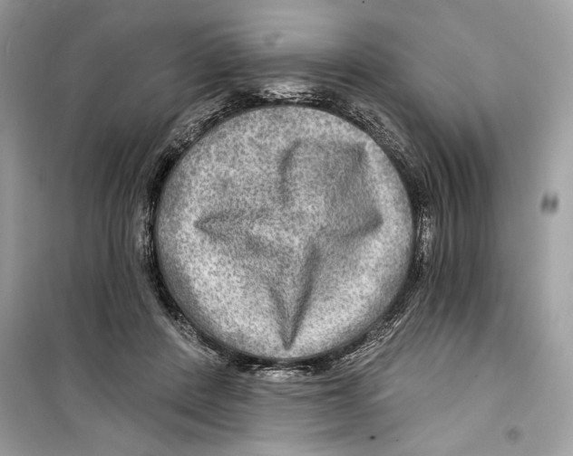 X0000098170408200805221519