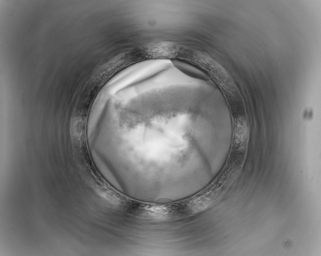 X0000098170409200805221519