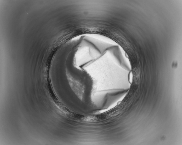 X0000098170410200805221519