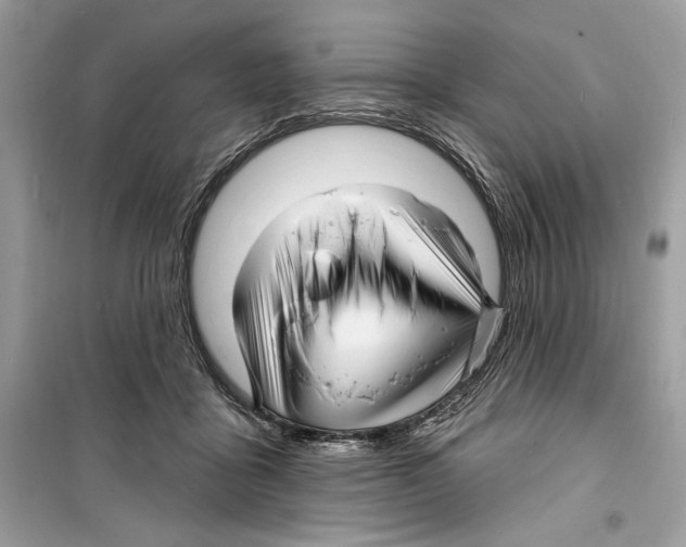 X0000098170411200805221519