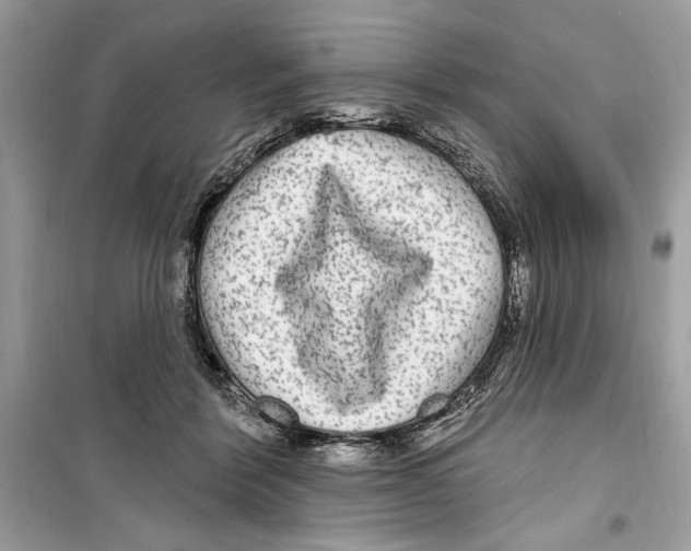 X0000098170412200805221519