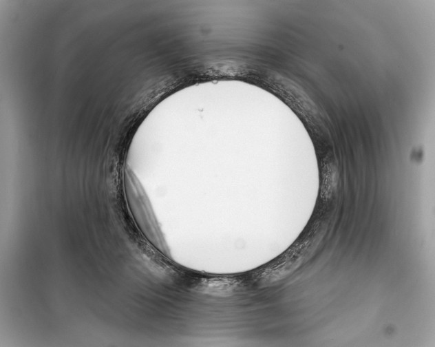 X0000098170414200805221519