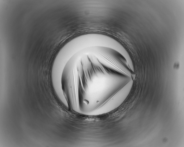 X0000098170415200805221519