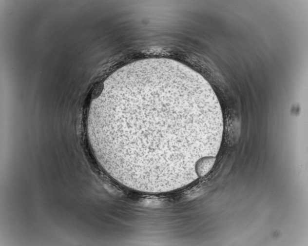 X0000098170416200805221519