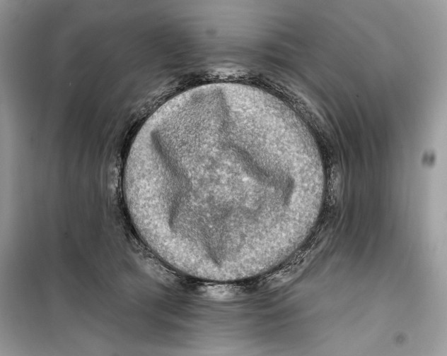 X0000098170417200805221519