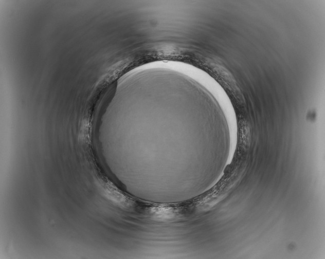 X0000098170419200805221519