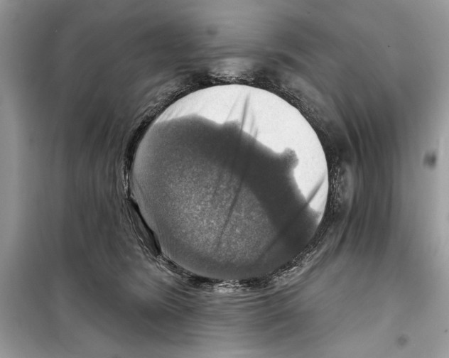 X0000098170420200805221519