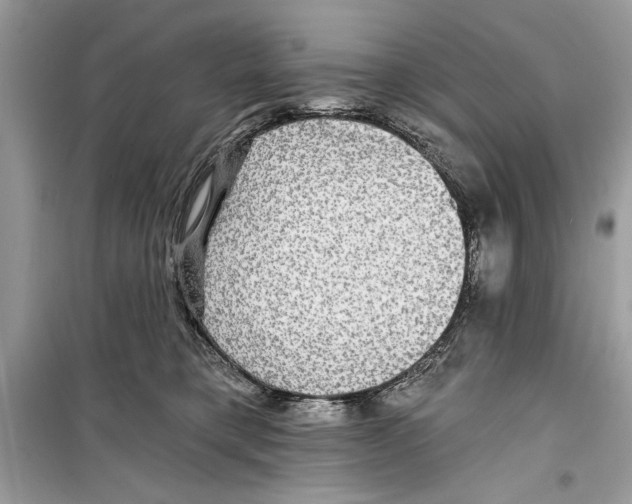 X0000098170421200805221519