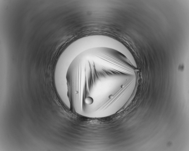 X0000098170423200805221519