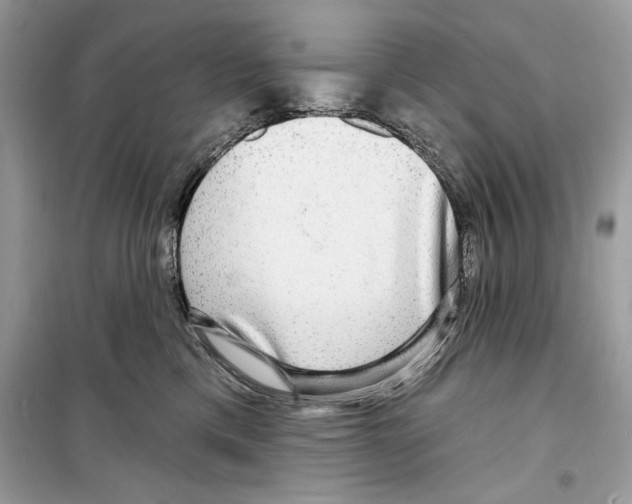 X0000098170425200805221519