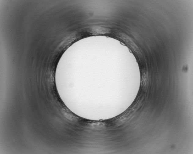 X0000098170426200805221519