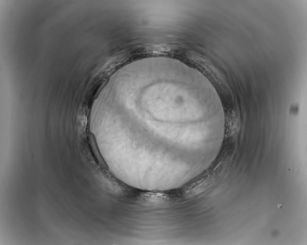 X0000098170427200805221519