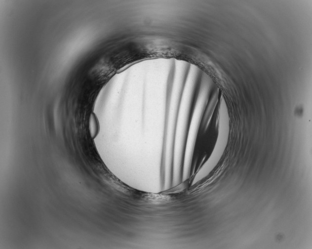 X0000098170429200805221519