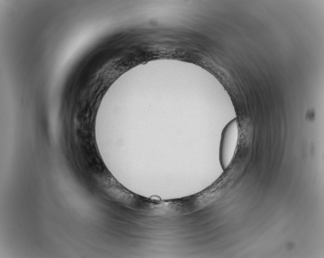 X0000098170430200805221519