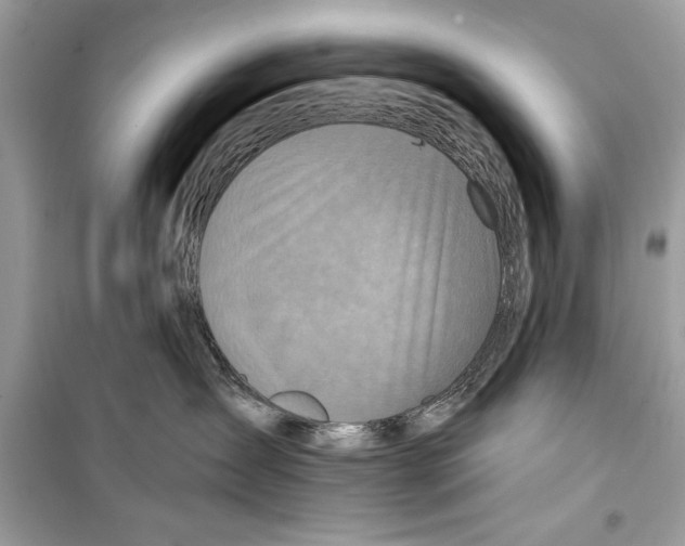 X0000098170431200805221519