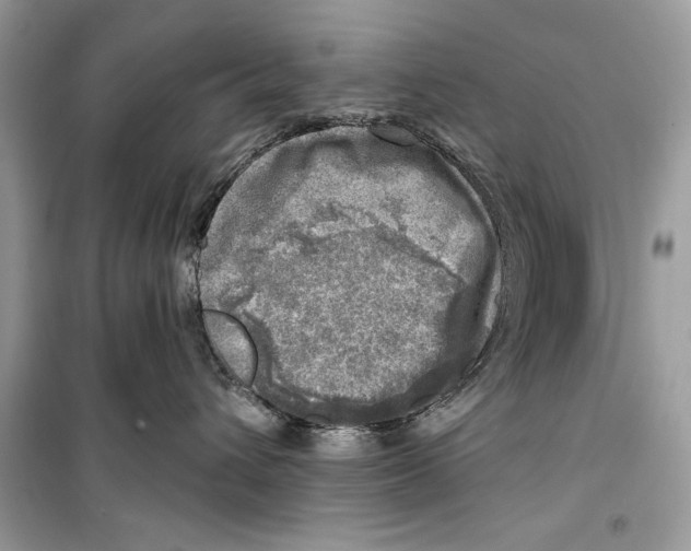 X0000098170432200805221519