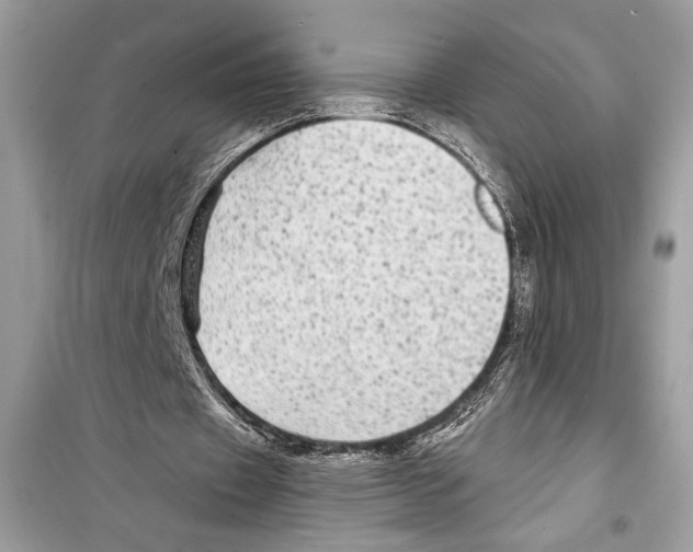 X0000098170433200805221518