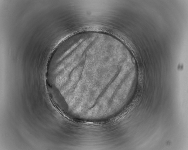 X0000098170434200805221518