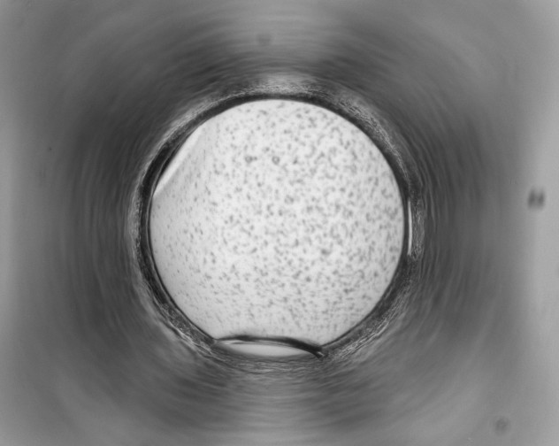 X0000098170435200805221518