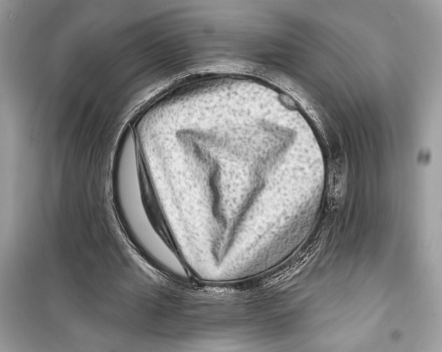 X0000098170437200805221518