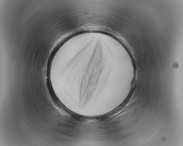 X0000098170438200805221518