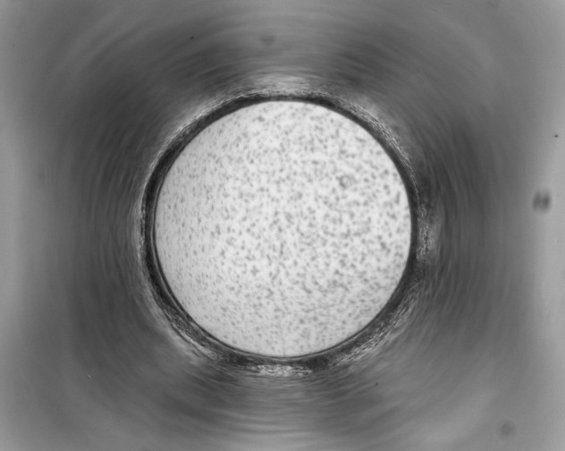 X0000098170439200805221518