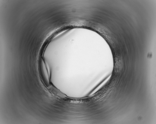 X0000098170440200805221518