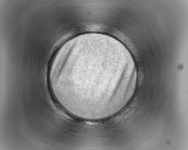 X0000098170442200805221518