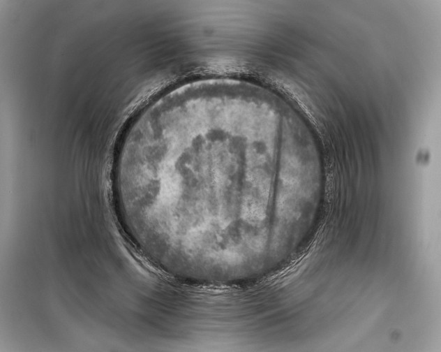 X0000098170443200805221518