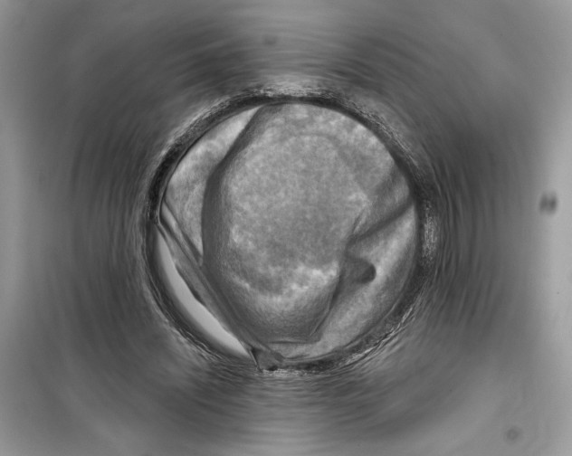 X0000098170444200805221519