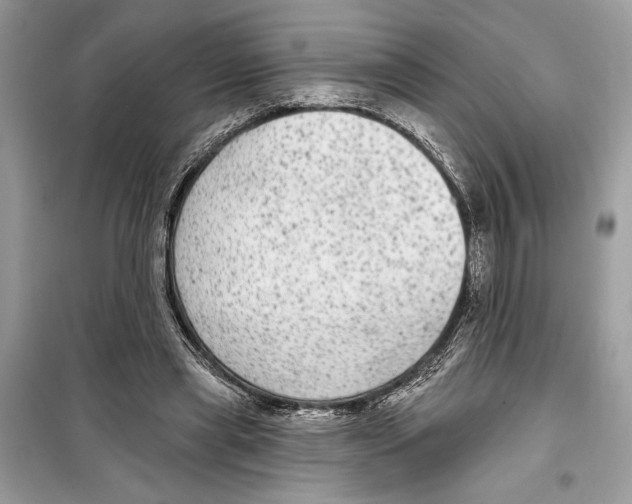 X0000098170445200805221519