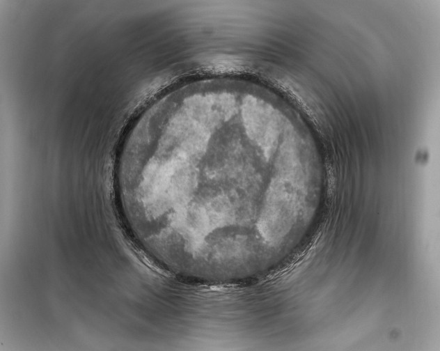 X0000098170447200805221519