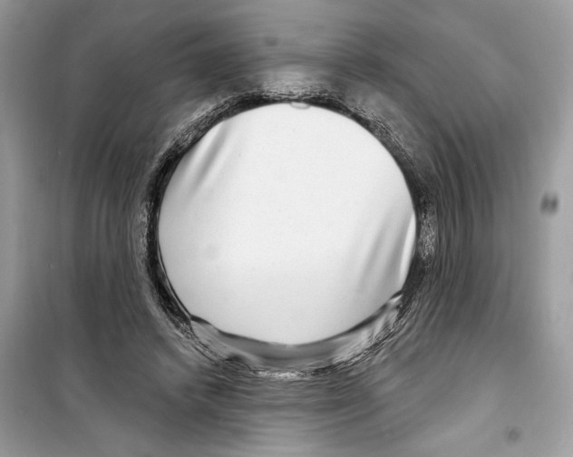 X0000098170448200805221519