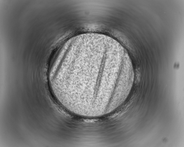 X0000098170450200805221519