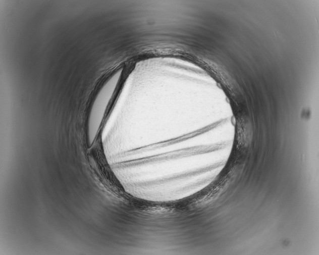 X0000098170453200805221519