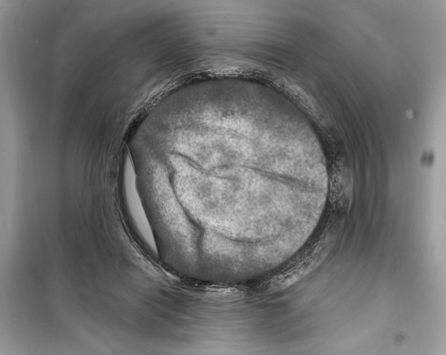 X0000098170454200805221519