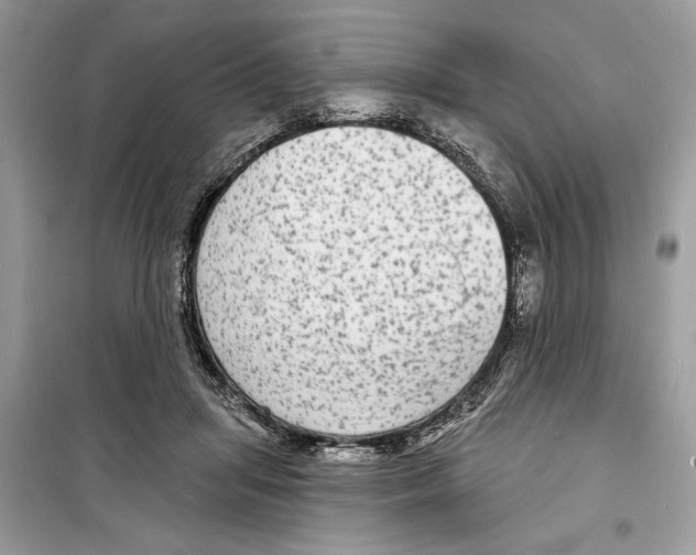 X0000098170455200805221519