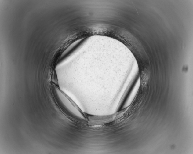 X0000098170456200805221519